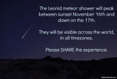 Leonid Meteor Shower 2012)