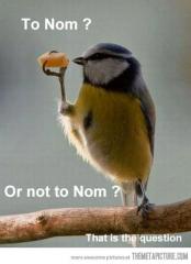 To Nom or Not to Nom That is the Question