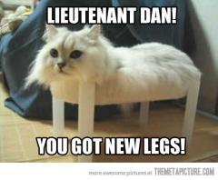 Lieutenant Dan!  You Got New Legs!