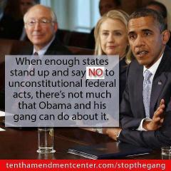 Demand Your State To Say NO To Obama&#039;s Unconstitutional Federal Acts