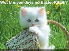What do you mean there is no Easter Kitteh?