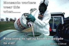 Monsanto Workers Wear a Mask When Preparing Chemicals That Go On Foods People Eat