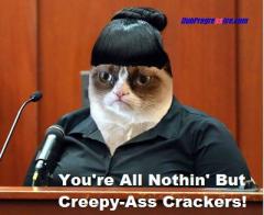Grumpy Cat - You are all nothing but creepy ass crackers!