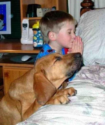 kid and dog at prayer