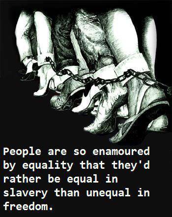People are so enamored by equality that they would rather live equal in slavery than unequal in freedom
