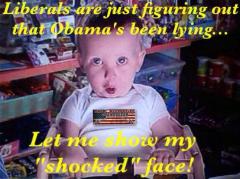Liberals are just figuring out that obama has been lying? Let me show my shocked face