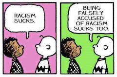 Racism Sucks So Does Being Falsely Accused of Racism