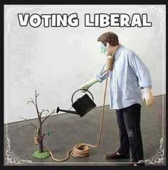 Voting Liberal - Well Illustrated
