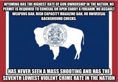 Wyoming gun facts