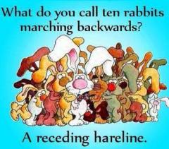 Joke What do you call ten rabbits walking backwards