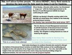 #BundyRanch It is about Real Estate and Fracking NOT Turtles