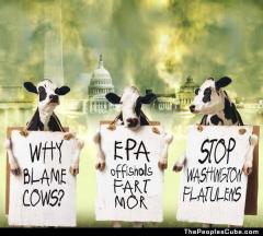 Apacalypse Cow - Stop Washington Flatulence