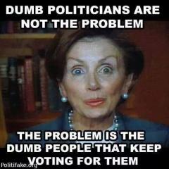 Dumb Politicians are not the problem the problem is the dumb people who keep voting for them