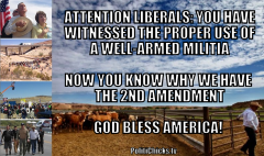 Attention Liberals Now You Know Why We Have The 2nd Amendment