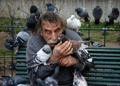 Sharing Love With Pidgeons