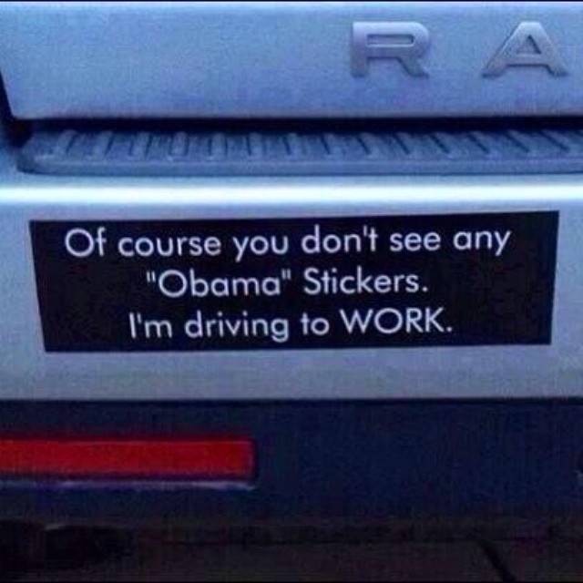 obama license tag working