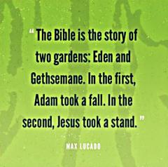 The bible is the story about two gardens Eden and Gethsemane