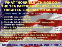 What horrible things do TEA partiers believe that frighten liberals so much