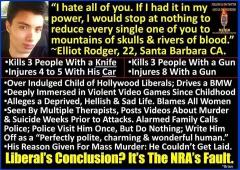 Liberal Idiocy Reguarding the Hollywood Shooter - Blames the NRA