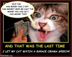that was the last time i let my cat listen to an obama speech