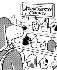 aroma therapy for dogs