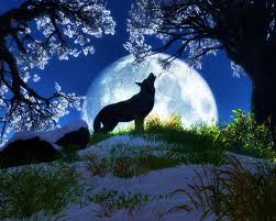 howl at the moon