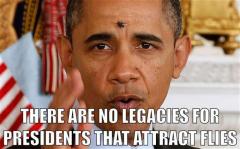 There are no legacies for presidents that attract flies