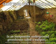 Grow your own all year long in an underground greenhouse aka Walipini