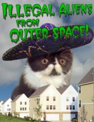 Illegal aliens from outer space cat