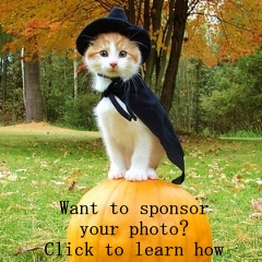 Want to sponsor your photo?