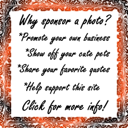 Why sponsor a photo?