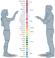 How men and women see color differently