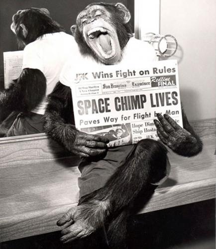 Astrochimp Ham was the first to go to space