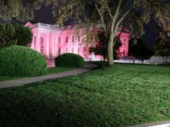 white house lit up in pink
