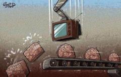 This is your brain after watching TV