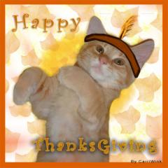 happy thanksgiving cat