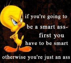 If you are going to be a smart ass first you have to be smart otherwise you are just an ass