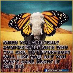When you are comfortable with who you are not everyone will like you but you will not care one bit