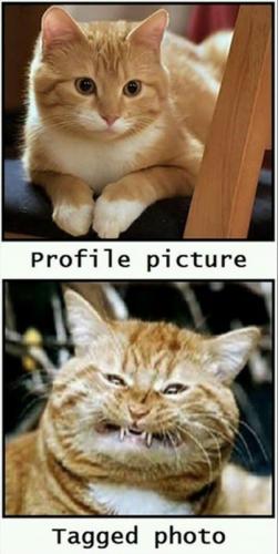 Profile Picture VS Tagged Photo