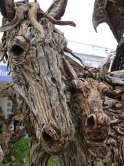 Driftwood Foal and Mare