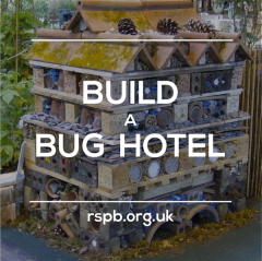 Build a bug hotel