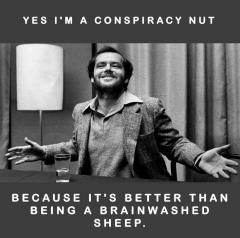I would rather be a conspiracy nut than a brainwashed sheep