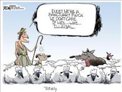 The sactuary flock of sheep does not care if the wolf is illegal