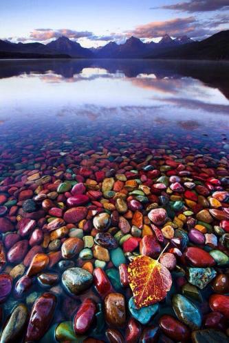 Beautiful Colored Rocks in Jackson Wyoming Lake