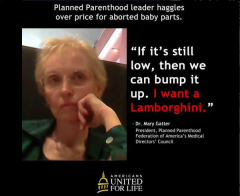 Planned Parenthood Leader haggles over price of aborted baby parts for dream Lamboghini