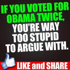 stupid obama voters