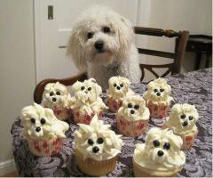 Pup Cakes