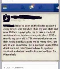 welfare prenup