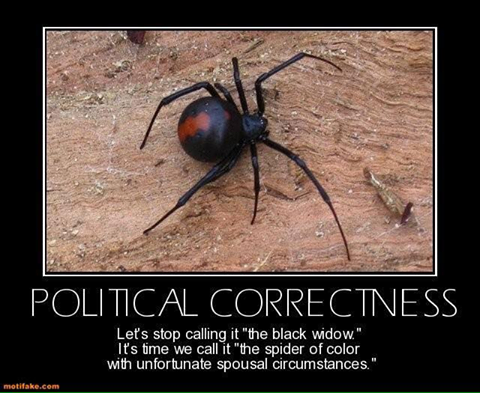 Political Correctness lets stop calling it the black widow spider