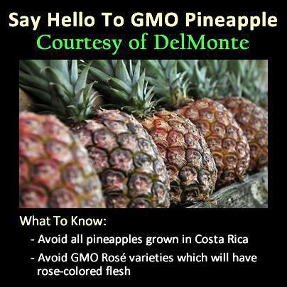 Avoid GMO Pineapple